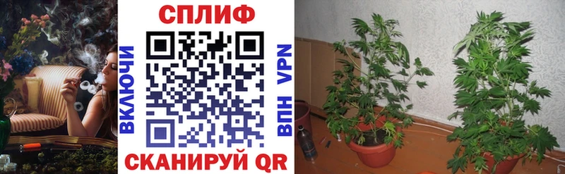 mega рабочий сайт  Полевской  Канабис Ganja 